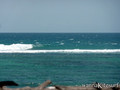 Kitesurfing Foto