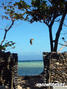 Kitesurfing Foto