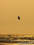 Kitesurfing Foto