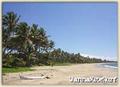 Kitesurfing Foto
