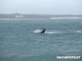 Kitesurfing Foto