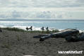 Kitesurfing Foto