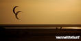 Kitesurfing Foto